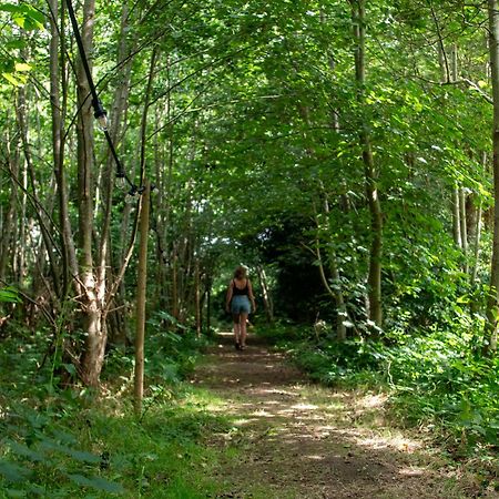 Ecolodges De Dreef Renesse Zewnętrze zdjęcie