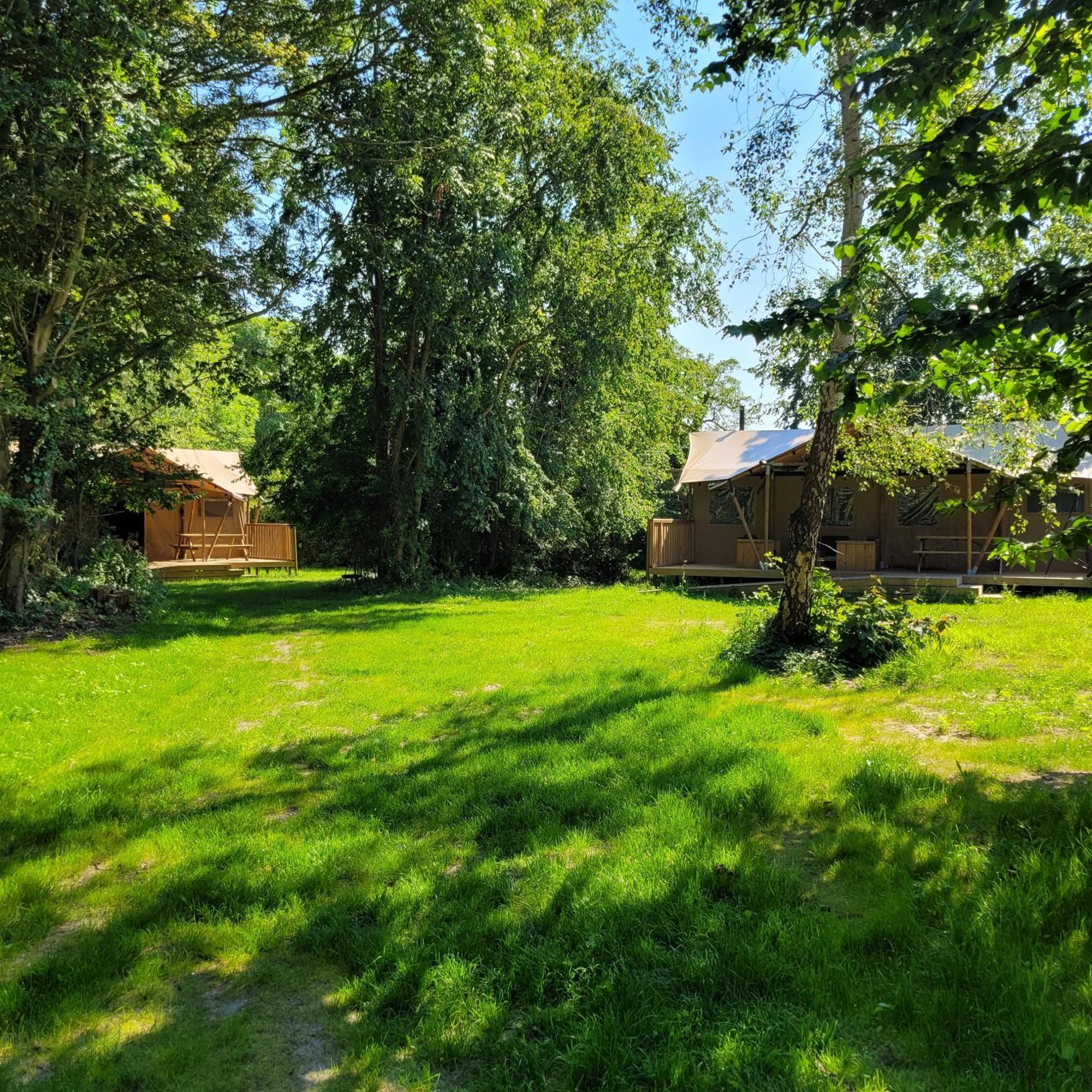 Ecolodges De Dreef Renesse Zewnętrze zdjęcie