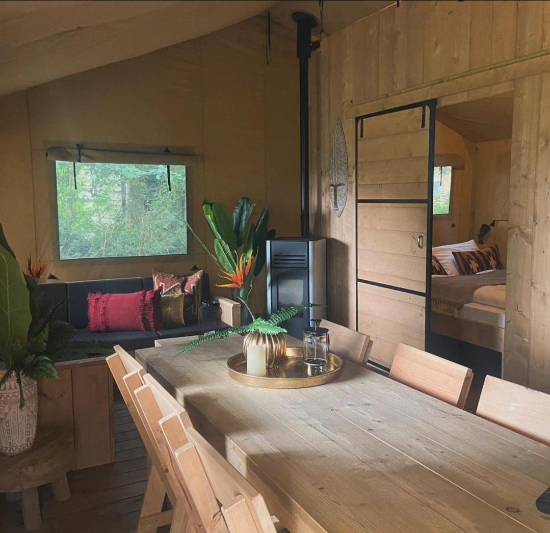 Ecolodges De Dreef Renesse Zewnętrze zdjęcie