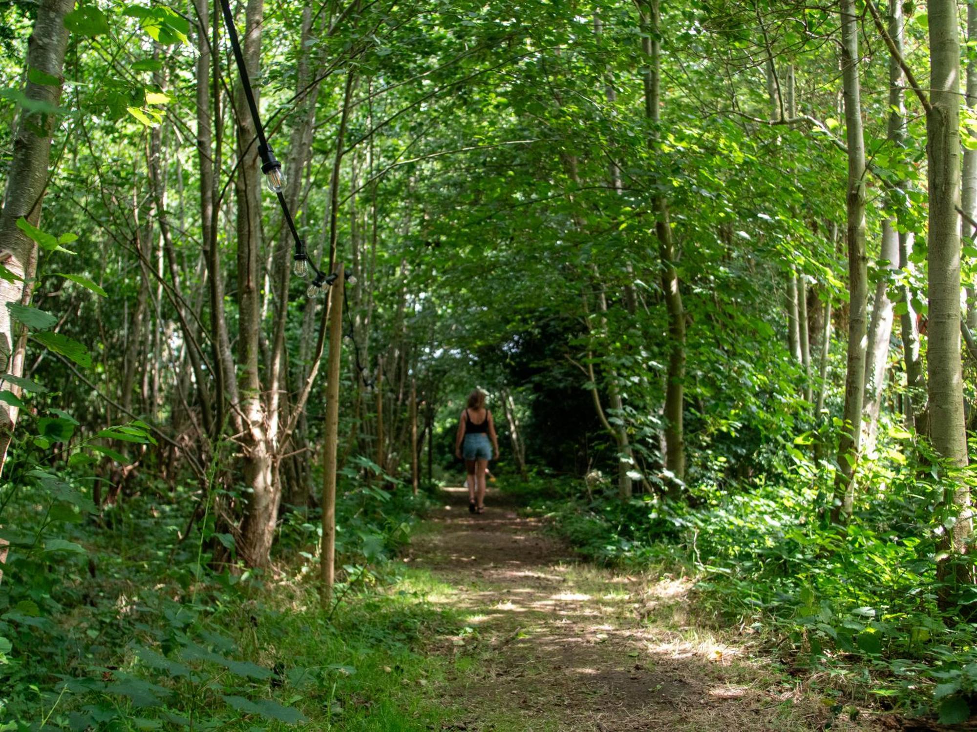 Ecolodges De Dreef Renesse Zewnętrze zdjęcie