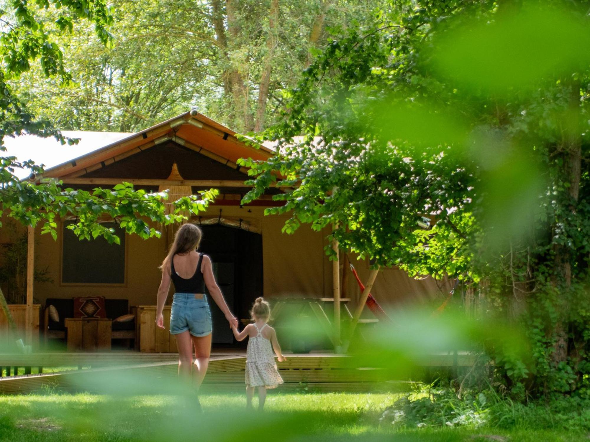 Ecolodges De Dreef Renesse Zewnętrze zdjęcie